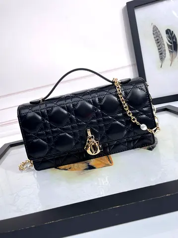 Dior bag