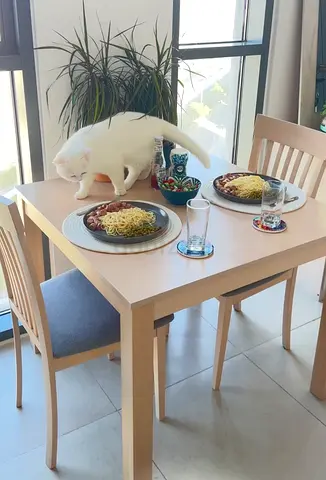 Dining Table with 2 chairs