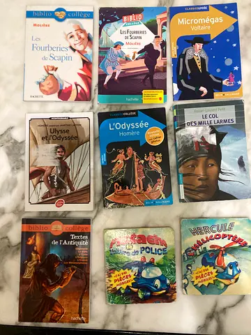 A Selection of Engaging French Literature