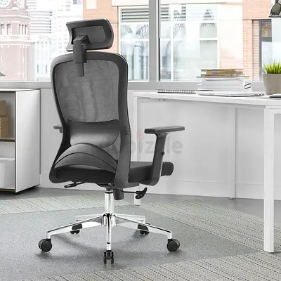 Ergonomic mesh chair