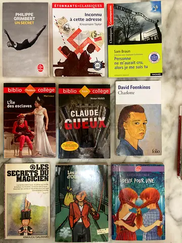 A Selection of Engaging French Literature