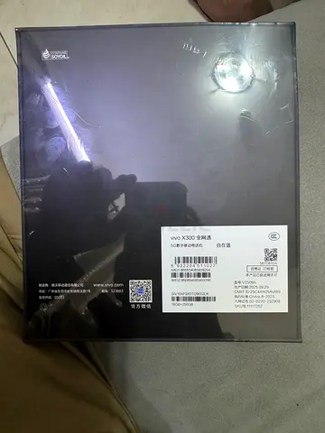 Vivo X300