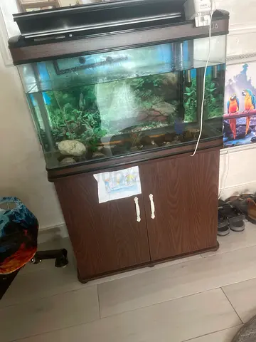 Aquarium with Stand for Sale