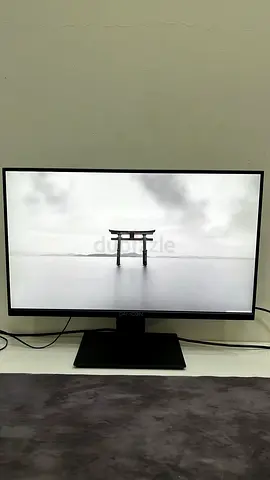 Gameon 24 inch monitor