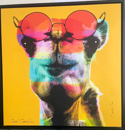 الشارقه التعاون