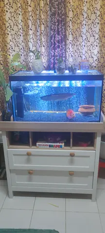Stylish Aquarium with Modern Stand for Sale