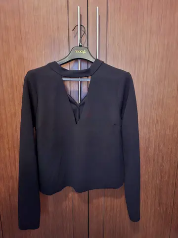 Zara Basic: Trendy Black Long Sleeve Top with Deep V neck