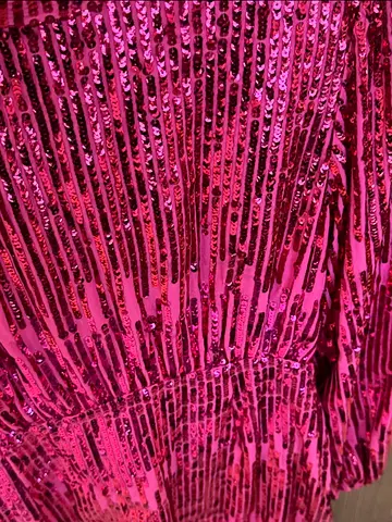 Rixo London Stunning Pink Sequin Dress