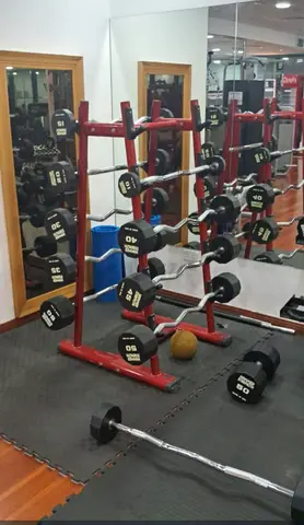 High-Quality Dumbbell Set for Home Gym