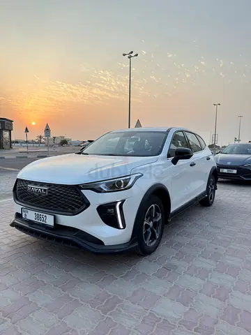 20 % OFF WINTER OFFER - FREE  DELIEVERY IN CITY