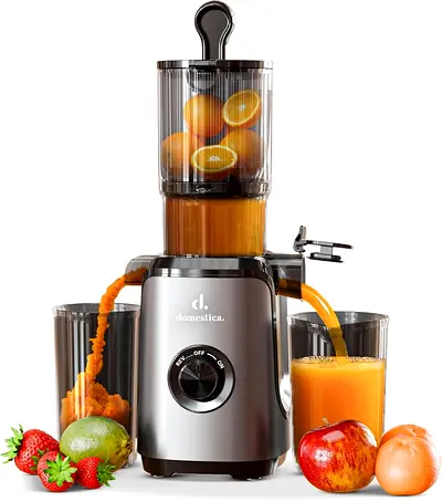 Powerful Slow Juicer for Fresh Juices