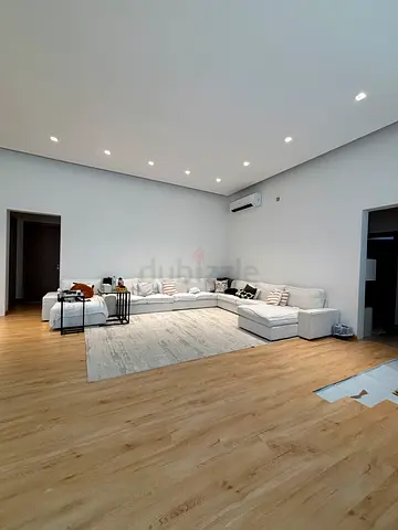 Elegant Sofa Set with Modern Rug for Sale