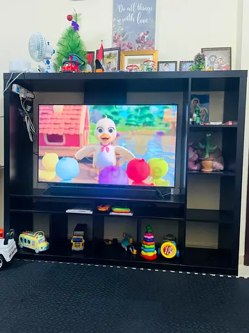 Modern Entertainment Center with Storage