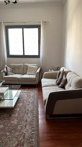 Cozy Living Room Sofa