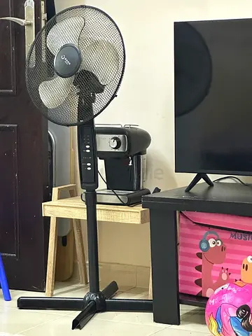 Fan