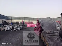 Cheap Price/Good location/Flooring with interlok/25Kw power/10000Sqft/Office,Kitchen,Washroom/Rent13