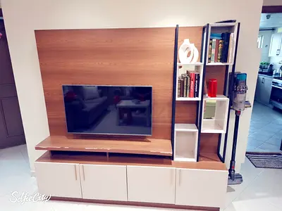 Modern Entertainment Center with Storage