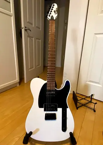 ESP LTD TE-200 Telecaster (HH) with leather case