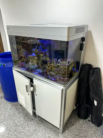 Red Sea 250 saltwater aquarium AIO