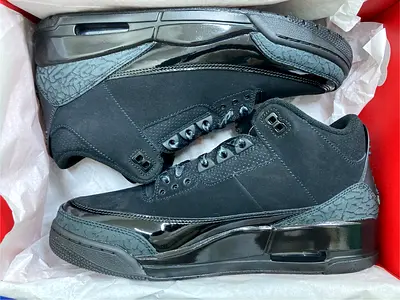 Air Jordan 3 Black Cat