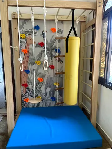 Indoor Climbing Frame with Gym Accessories