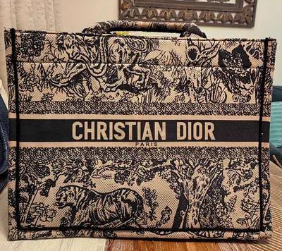 Christian Dior Bag for Sale
