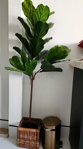 Artificial Fiddle Leaf Fig Tree in Basket