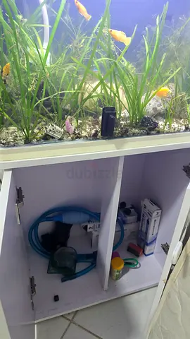 FISHTANKS FOR SALE - GOOD CONDITION!