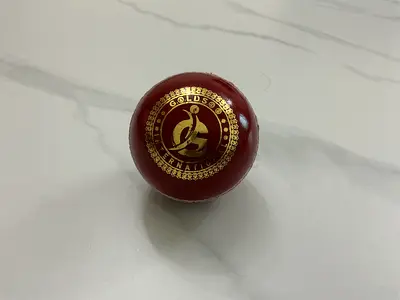 Gold’s international hard ball for cricket