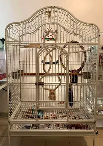 Big Bird cage for Sale