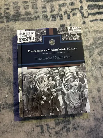 The Great Depression: Perspectives on Modern World History