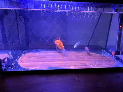 Boyu Aquarium System