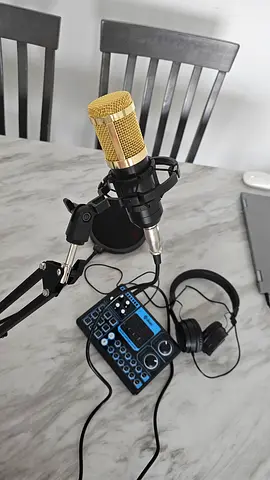 Professional Studio Microphone Setup
