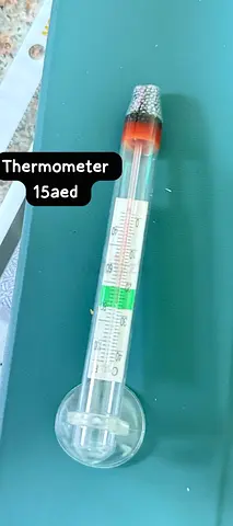 Aquarium thermometer