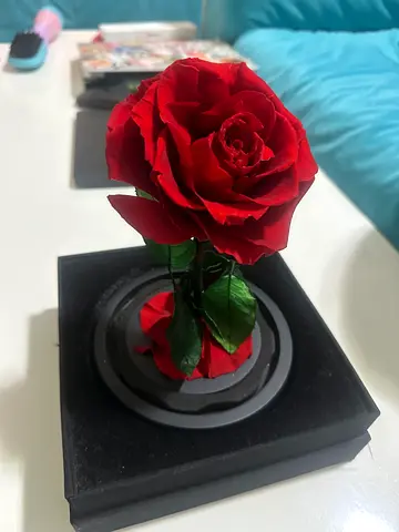 Forever rose