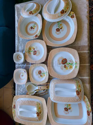 Plastic dishes