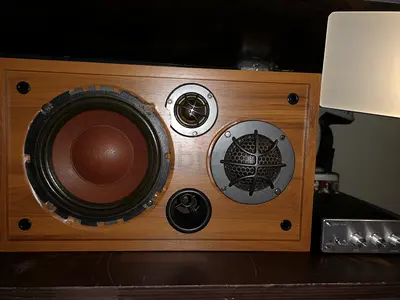 DLS Sweden 3 way speakers with 2.1 Class D power amp