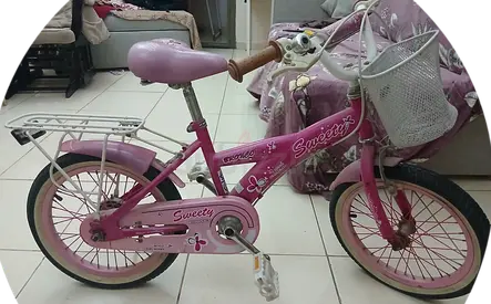 Charming Pink Kids Bicycle for Sale