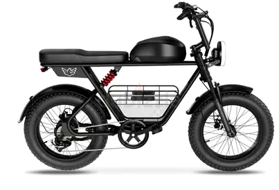 Wind Horse D5 Electric Bike-1 Year Warranty