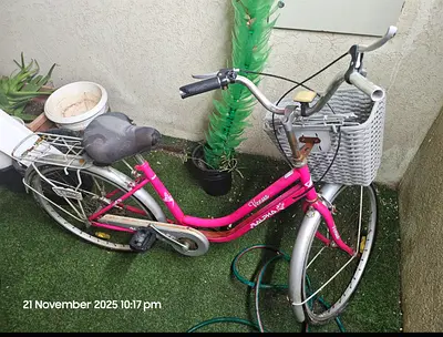 Female pink bicycle with front basket