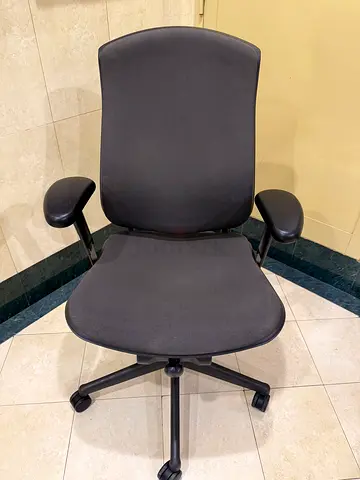 Herman Miller Celle Chair For Selling