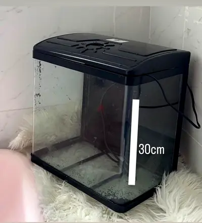 Fish tank