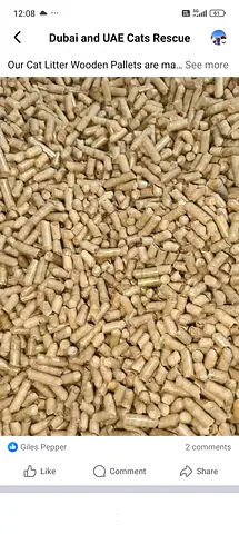 Natural Wood Cat Litter Pellets