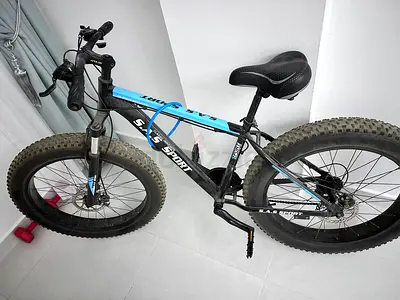 Fat Tire Mountain Bike – Excellent Condition