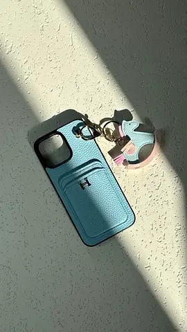 Hermes styles iphone case