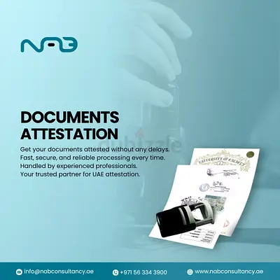 Businessmen services, PRO services, legal attestation services accountant services