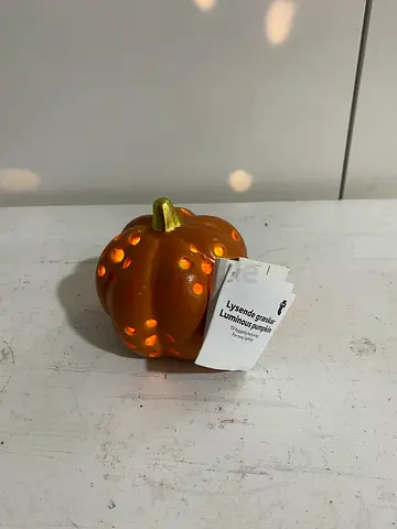 Unique Decorative Pumpkin Light 25 piece