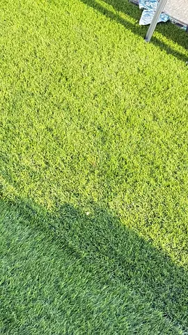 Lush Artificial Grass for Your Outdoor Space