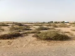 Land for sale in Sharjah, in Rawdat Al Qurt area, measuring 7360 square feet, prime location.
