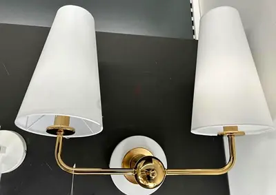 Elegant Dual Shade Wall Lamp